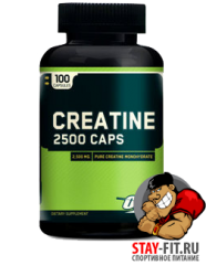 Креатин Creatine 2500 100 caps Optimum Nutrition